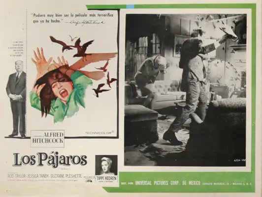 Birds (1963) original movie poster for sale at Original Film Art - Vintage Movie Posters