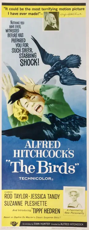 Birds (1963)