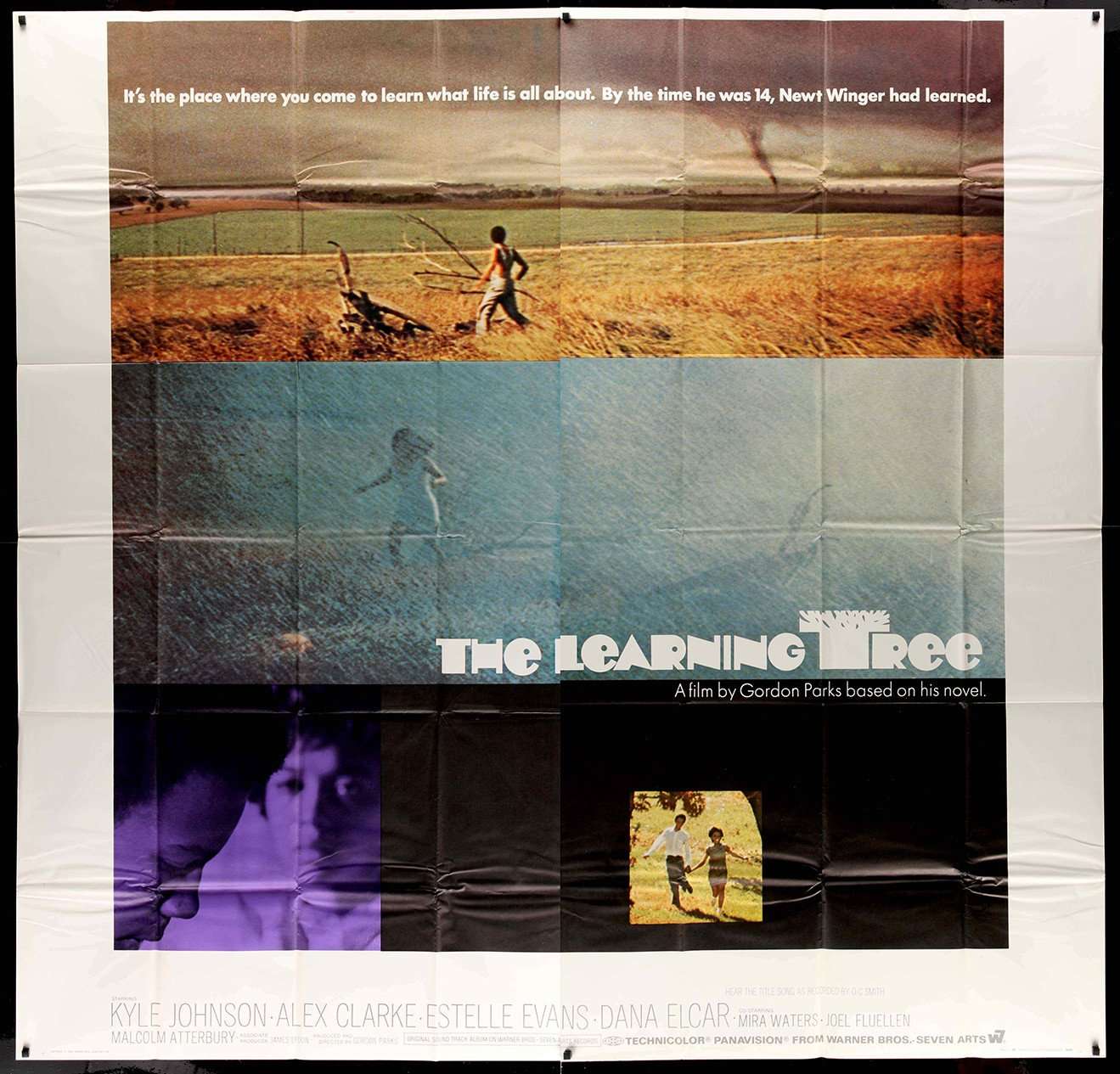 The Learning Tree (1969) Original Six-Sheet Movie Poster - 81