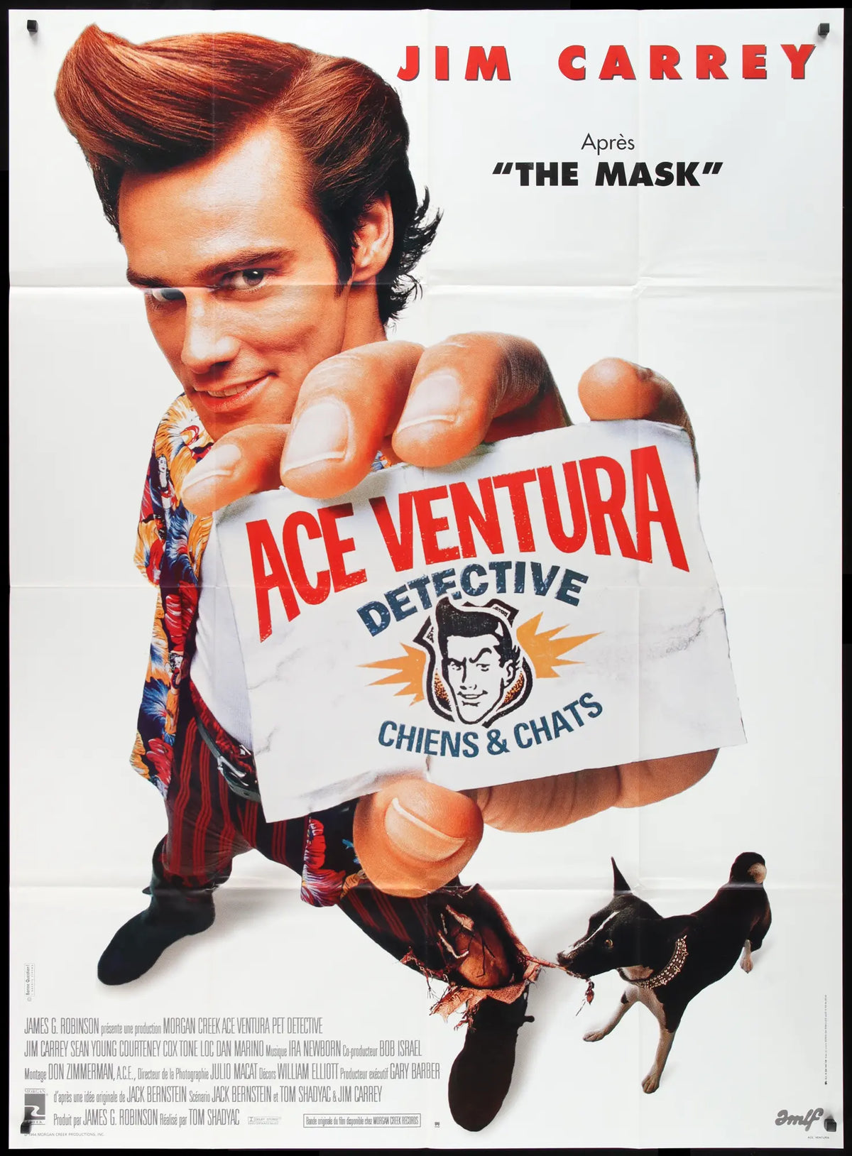 Ace Ventura: Pet Detective (1994) original movie poster for sale at Original Film Art - Vintage Movie Posters