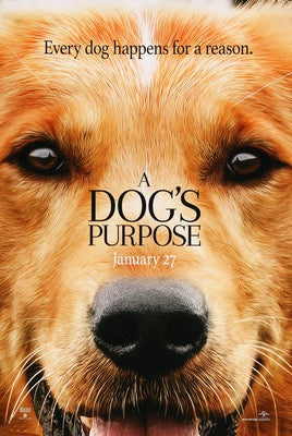 Dog's Purpose (2017) original movie poster for sale at Original Film Art - Vintage Movie Posters