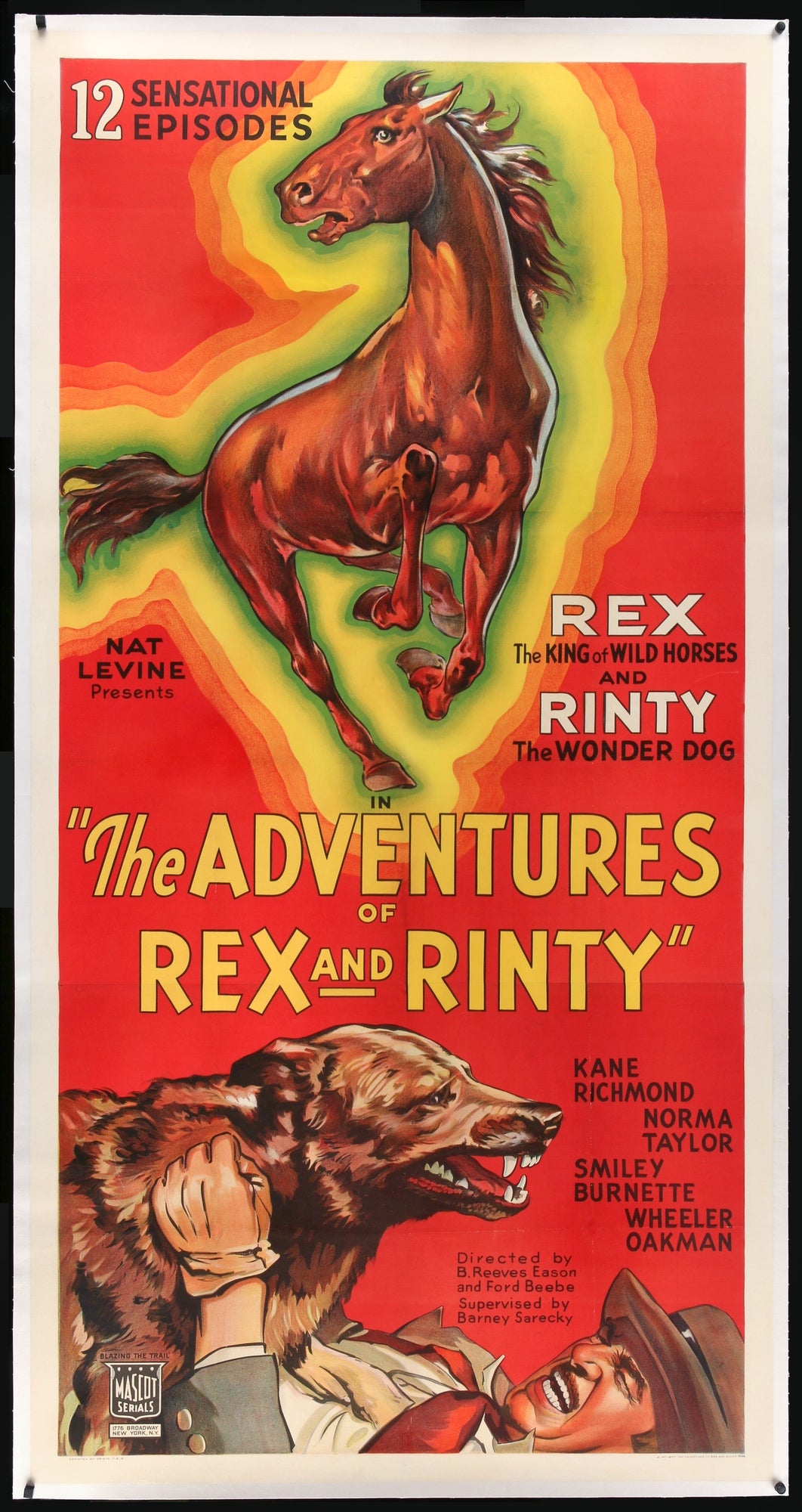 Adventures of Rex and Rinty (1935) original movie poster for sale at Original Film Art - Vintage Movie Posters