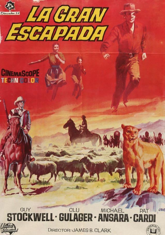 And Now Miguel (1966) original movie poster for sale at Original Film Art - Vintage Movie Posters