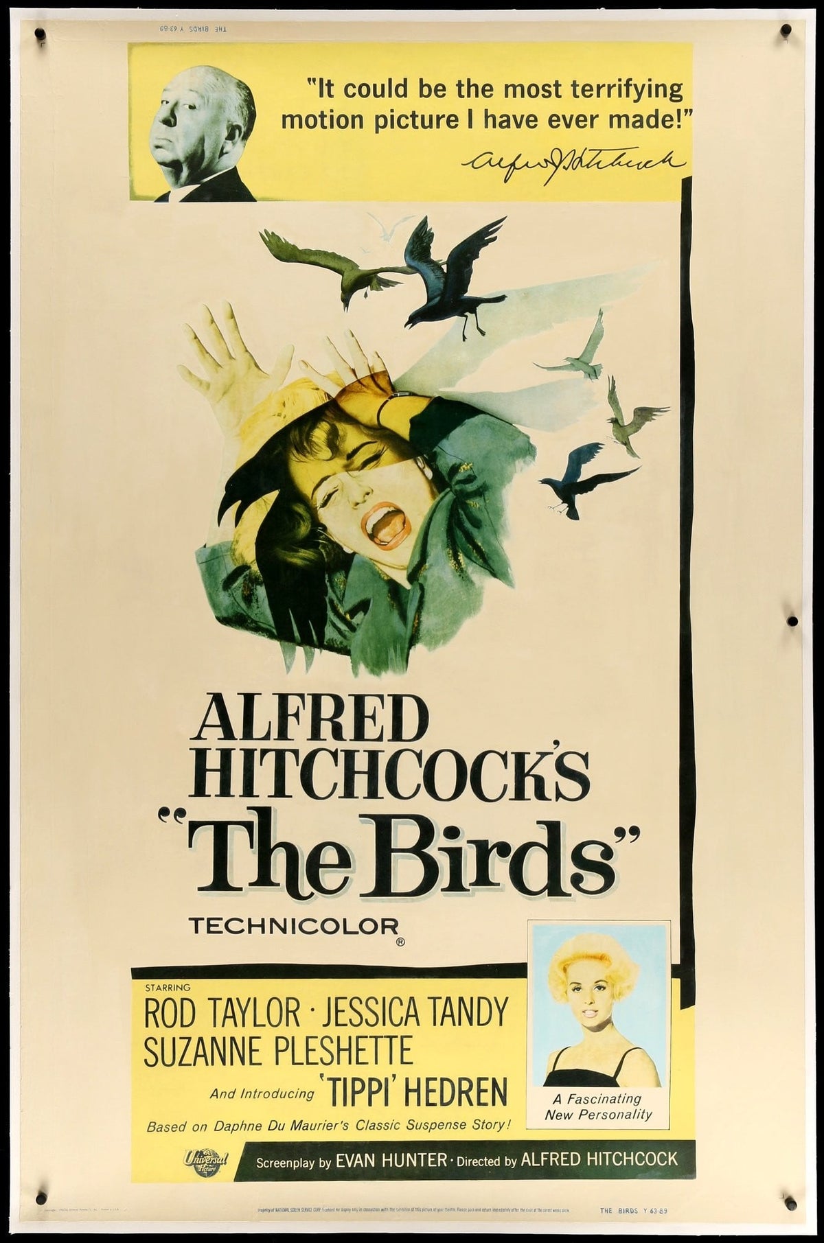 Birds (1963) original movie poster for sale at Original Film Art