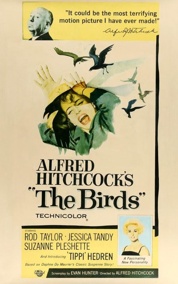 Birds (1963) original movie poster for sale at Original Film Art - Vintage Movie Posters