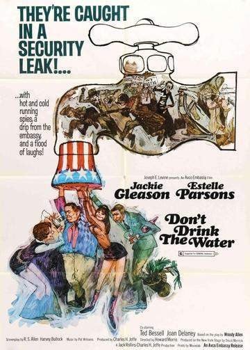 Don't Drink the Water (1969) original movie poster for sale at Original Film Art - Vintage Movie Posters