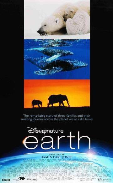 Earth (2007) original movie poster for sale at Original Film Art