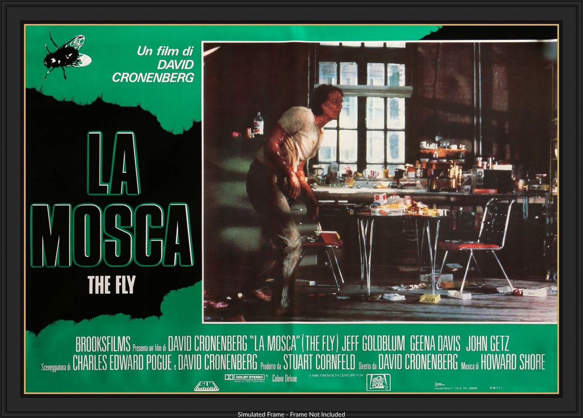 Fly (1986) original movie poster for sale at Original Film Art - Vintage Movie Posters