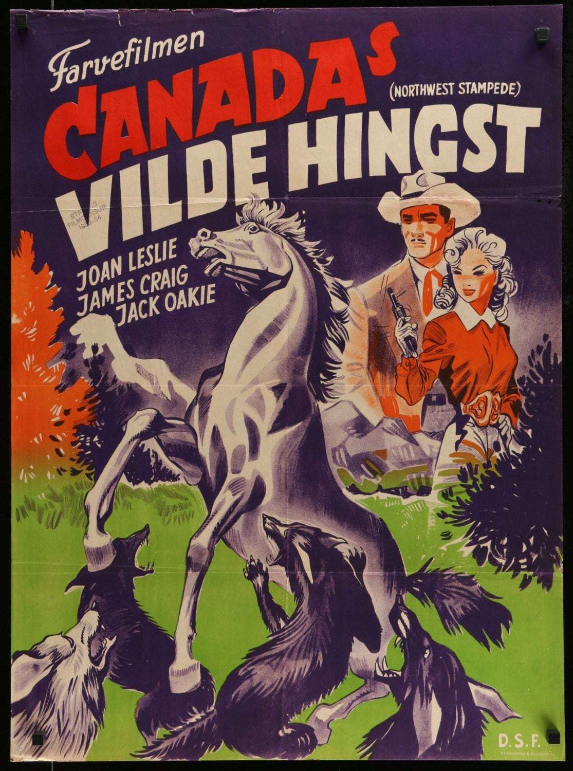 Northwest Stampede (1948) original movie poster for sale at Original Film Art
